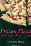 FROZEN PIZZA AND OTHER SLICES OF LIFE LEVEL 6