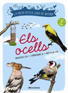 ELS OCELLS