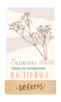 CALENDARIO MESA DE TARJETAS 2027 - DEFREDS