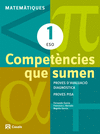 COMPETNCIES QUE SUMEN 1 ESO MATEMTIQUES