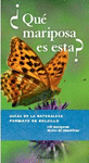 QUE MARIPOSA ES ESTA?