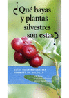 QU BAYAS Y PLANTAS SILVESTRES SON ESTAS?