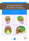 ANATOMIA INTERACTIVA DEL SISTEMA LOCOMOTOR. VOLUM II: CAP, COLL I TRONC, I MEMBR