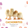 CALENDARIO CACHORROS 2027