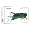 EL GRILL SILENCIS (COLLECCI ERIC CARLE)