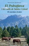 PEDRAFORCA I LES VALLS DE SALDES I GSOL, EL