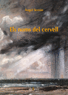 ELS NOMS DEL CERVELL
