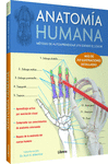 ANATOMA HUMANA